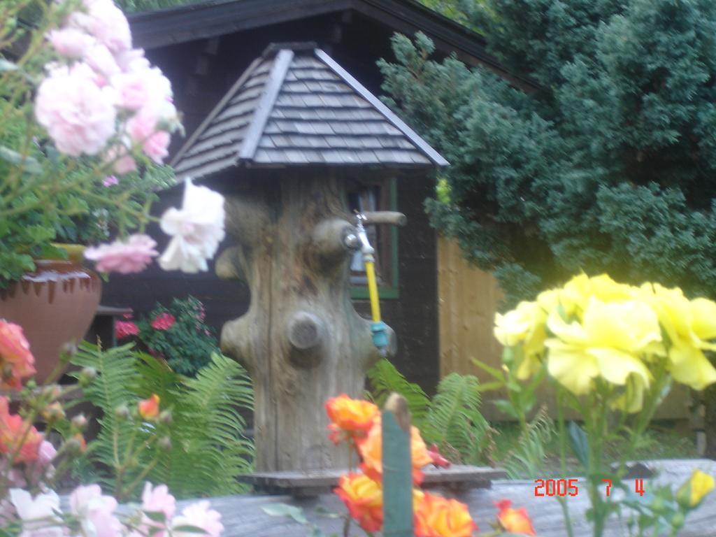 Gasthof Pichler Bruck an der Mur Buitenkant foto